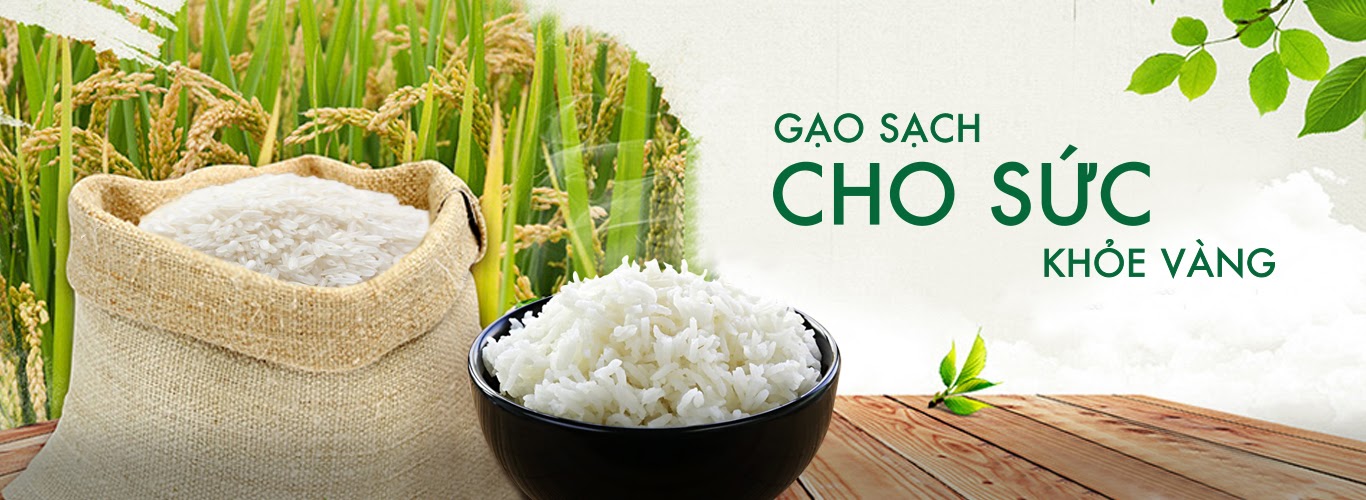 gạo sạch