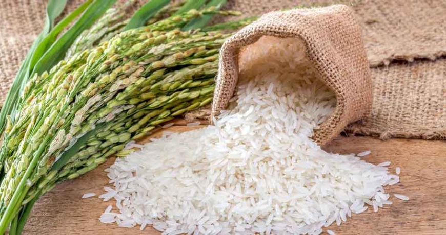 Giá gạo trên thị trường hiện nay