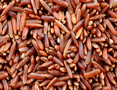 Gạo lứt là gì? Các loại gạo lứt , công dụng , cách bảo quản.