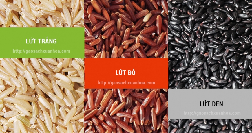 Các loại gạo lứt