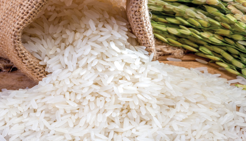 Các loại gạo trên thị trường