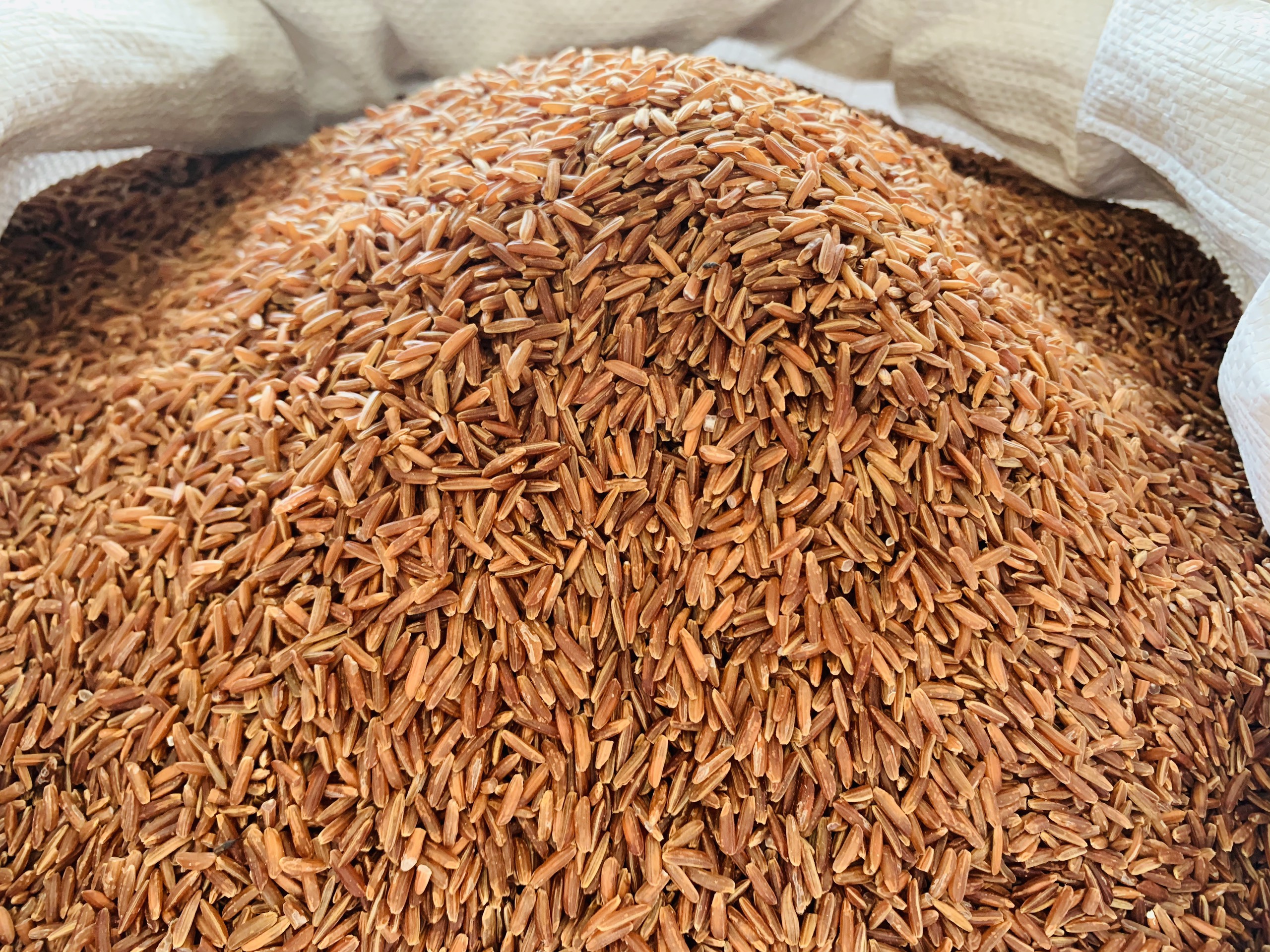 Gạo lứt có tác dụng điều hòa lượng đường trong máu