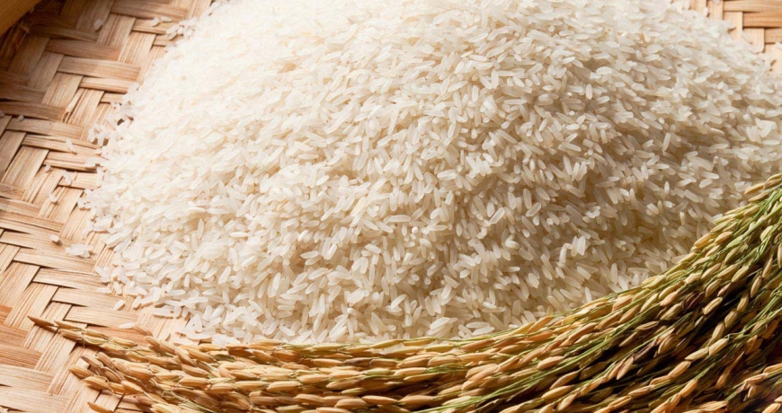 Nguồn lấy gạo sỉ