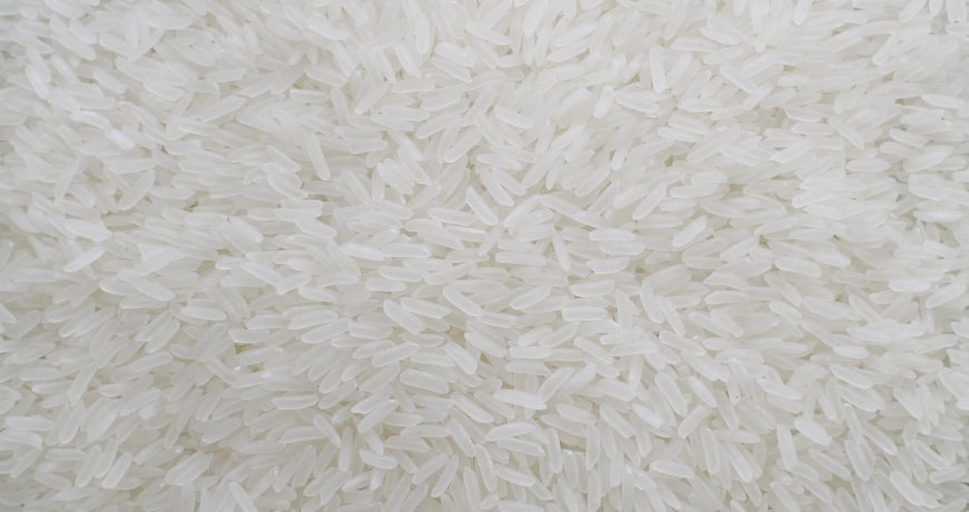 Hạt gạo nở to tròn