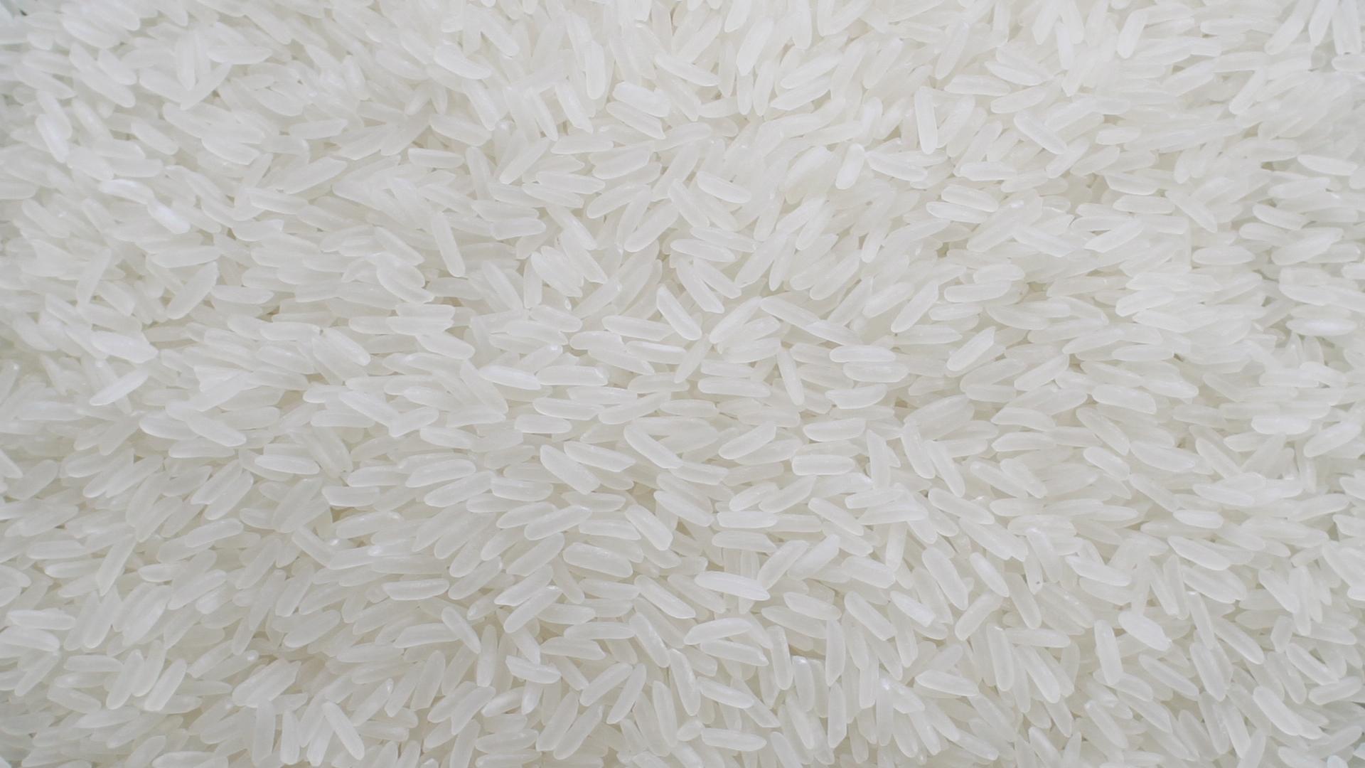 Bật Mí Đại Lý Bán Gạo Giá Rẻ, Chất Lượng Tại Khu Vực Phía Nam