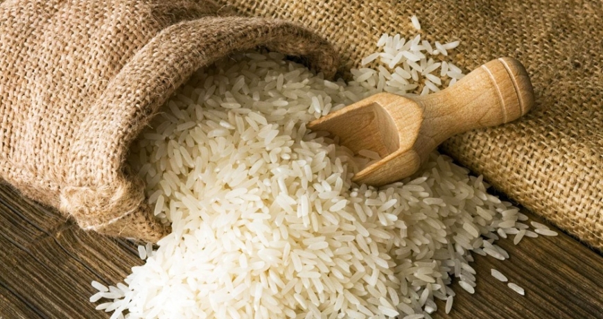 gạo bắc thơm