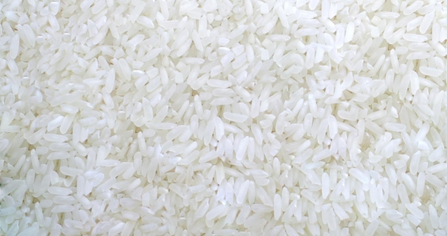 Hạt gạo nở to tròn