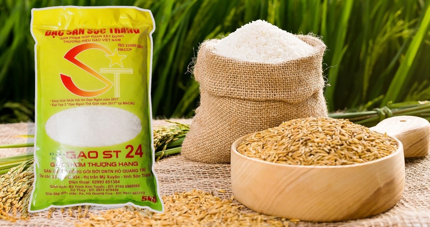 Chất lượng gạo đạt tiêu chuẩn