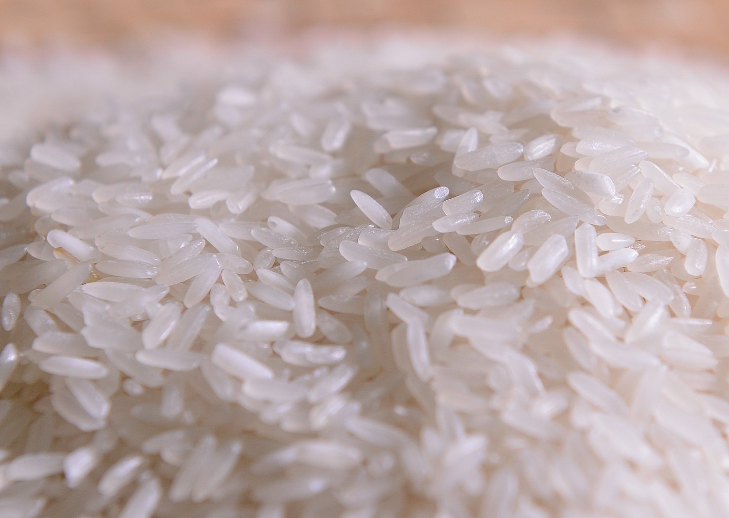 Công Bố Đại Lý Gạo Kiên Giang Uy Tín