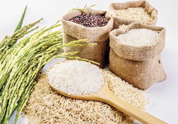 Xuất xứ của gạo Đài Loan đặc biệt