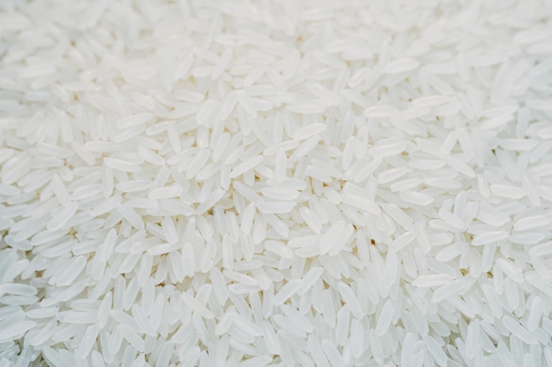 Hàm lượng dinh dưỡng bên trong gạo thơm Jasmine