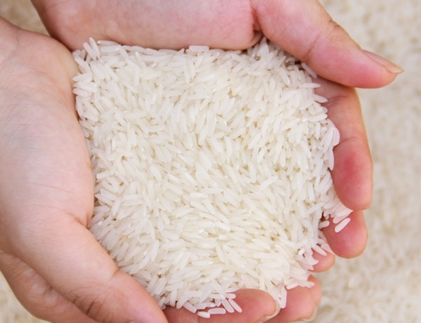 Địa chỉ bán gạo Tám Xoan Hải Hậu uy tín, chất lượng hàng đầu