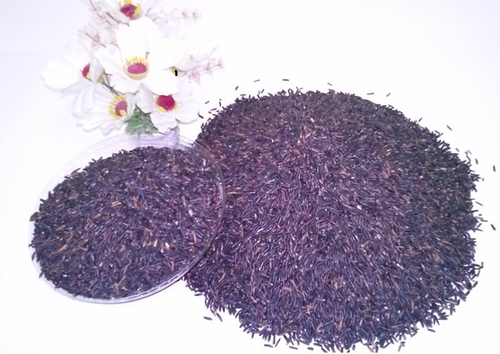 Gạo Tím Than phù hợp mọi đối tượng