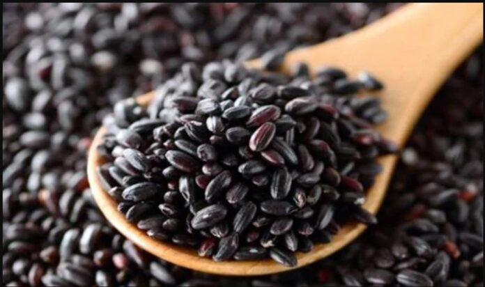 Giàu chất dinh dưỡng cung cấp cho cơ thể