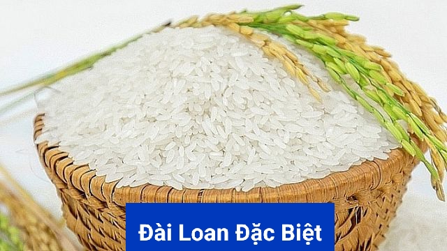 Giống gạo ngon, hợp khẩu vị